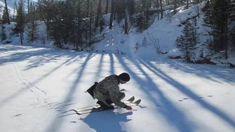 Минэкологии Подмосковья: учетчикам охотничьих ресурсов предстоит пройти 8000 км