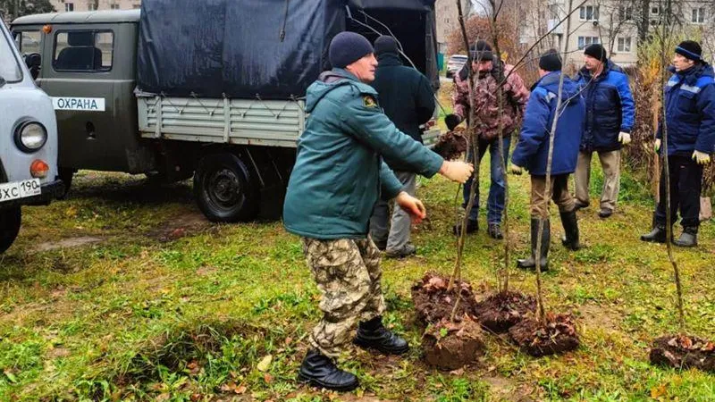 В поселке Запрудня Талдомского горокруга  прошла очередная акция по озеленению