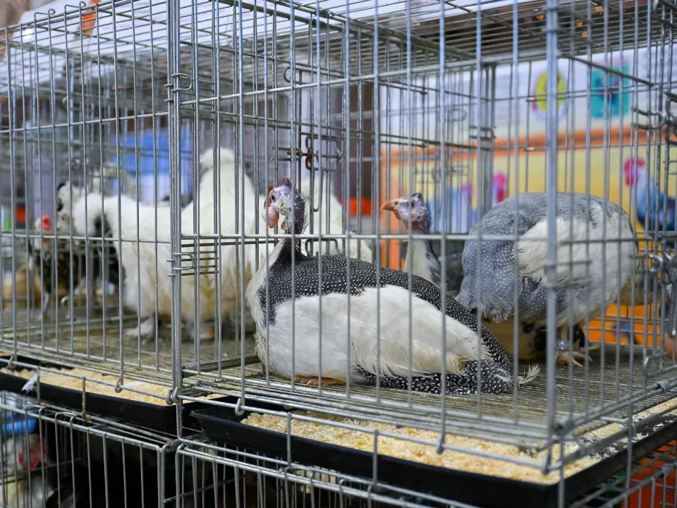 Фото: пресс-служба администрации Ленинского г.о.