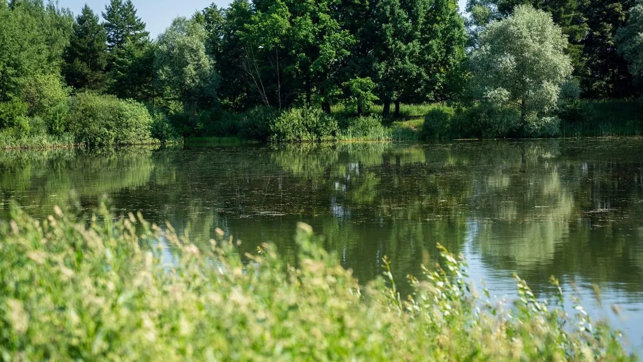 пресс-служба администрации городского округа Красногорск