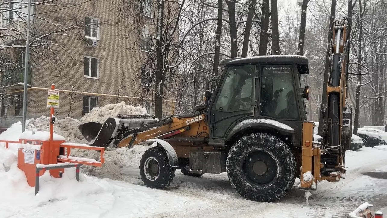 Фото: Валерия Ерофеева