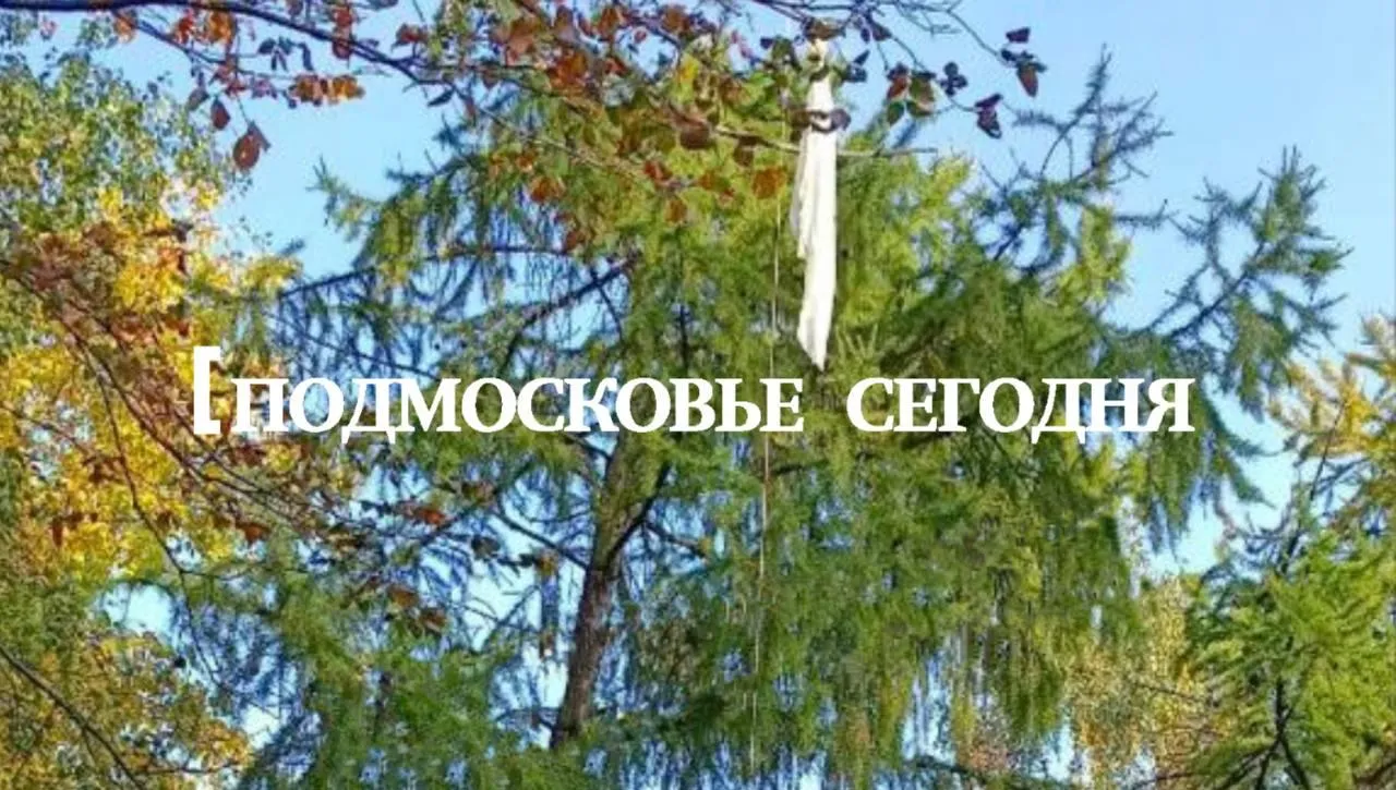 Соцсети