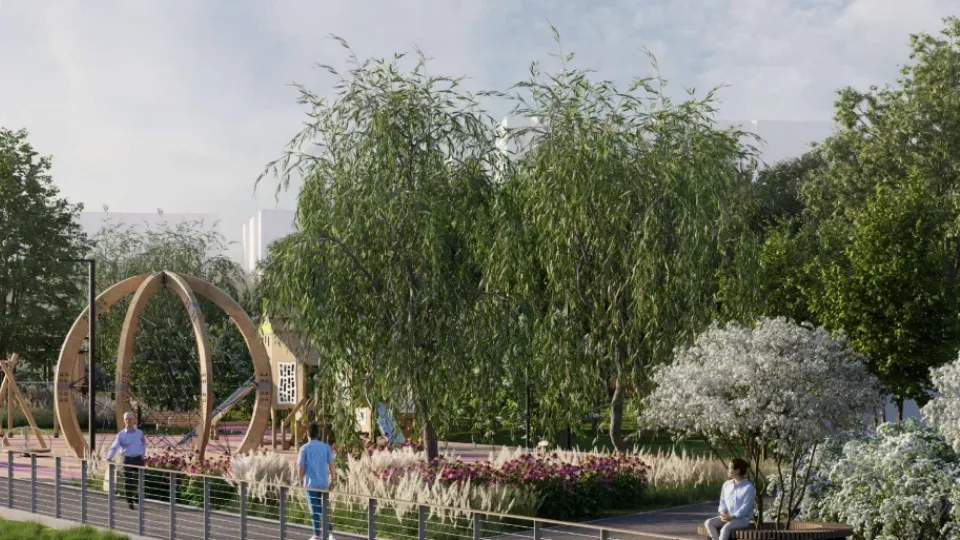 Проект благоустройства озера Торфяное. Фото: проектное решение