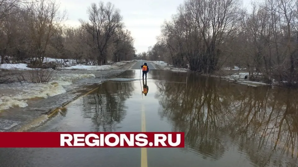 Фото: пресс-служба администрации городского округа Луховицы