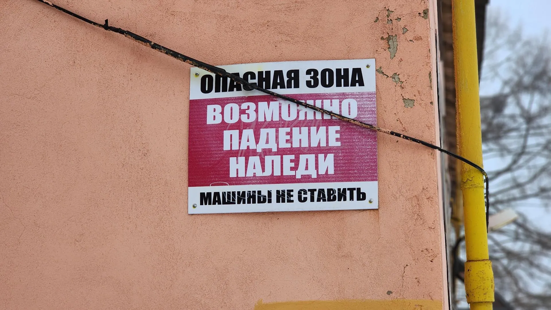 МедиаБанк Подмосковья/Валентина Максимова