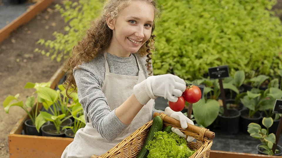 Фото: freepik.com