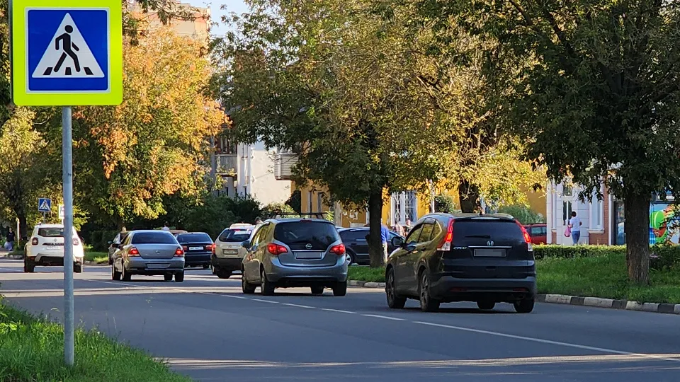 Фото: МедиаБанк Подмосковья/Нина Басистая