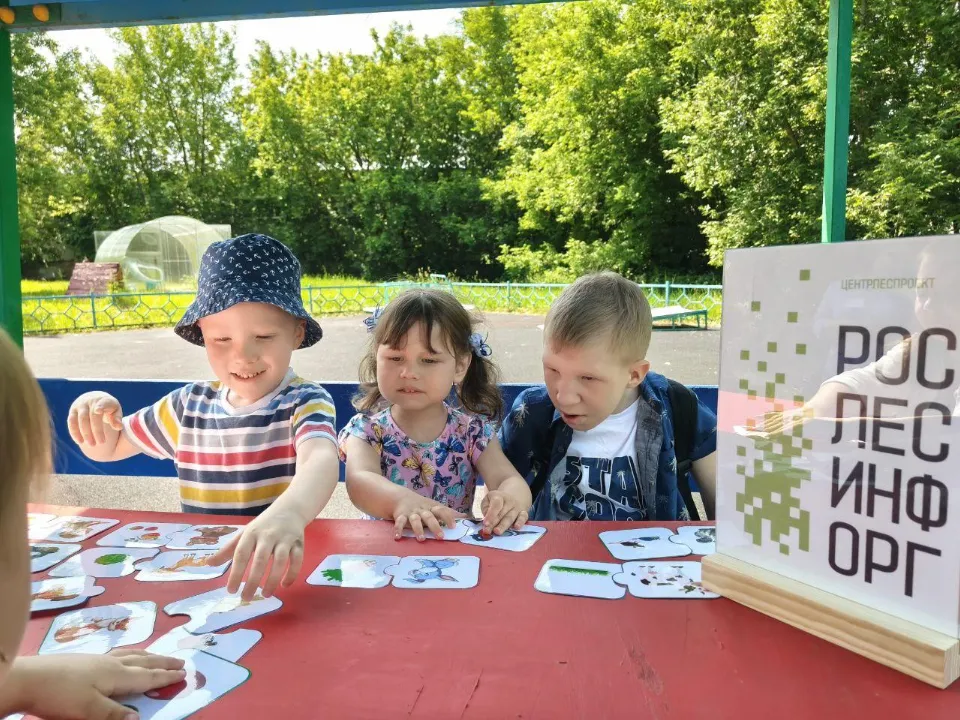 Фото: филиал ФГБУ «Рослесинфорг» «Центрлеспроект»