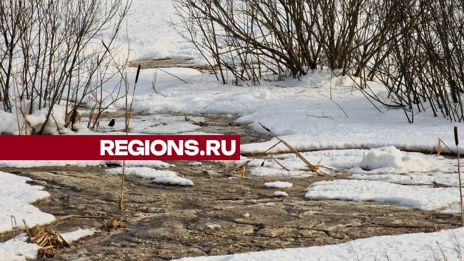 Фото: Юлия Смагринская