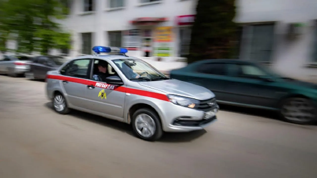 Росгвардия задержала подозреваемого в нападении на сотрудницу клиники в Видном