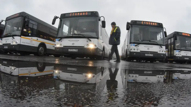 Фото: Фотобанк Московской области