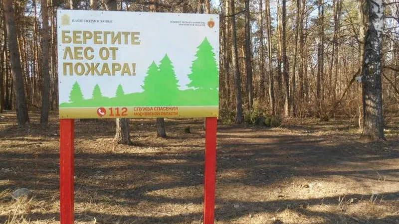 Пресс-служба Дмитрия Пестова