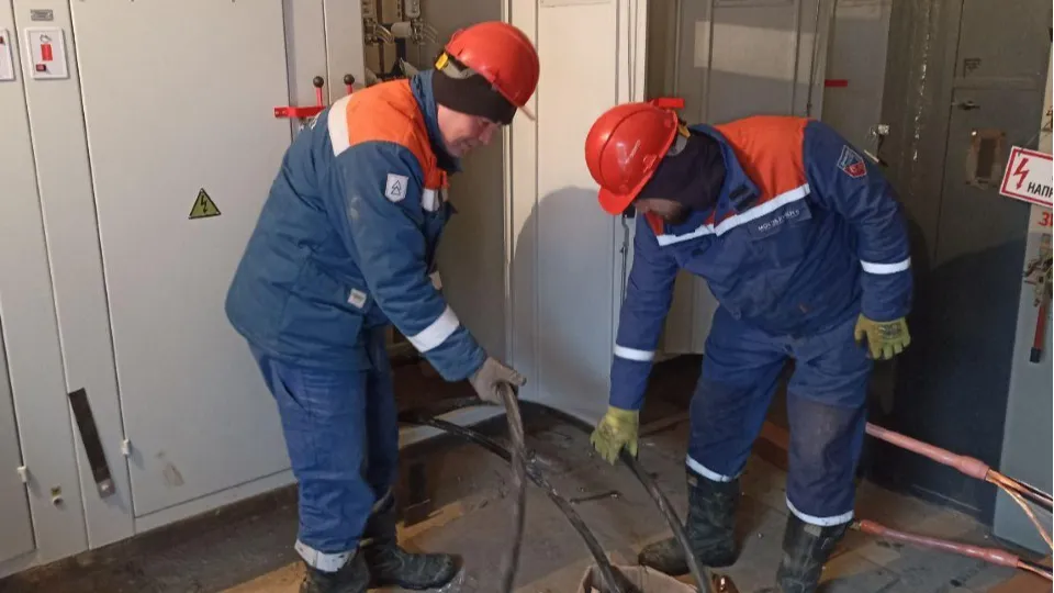 Фото: АО «Мособлэнерго»