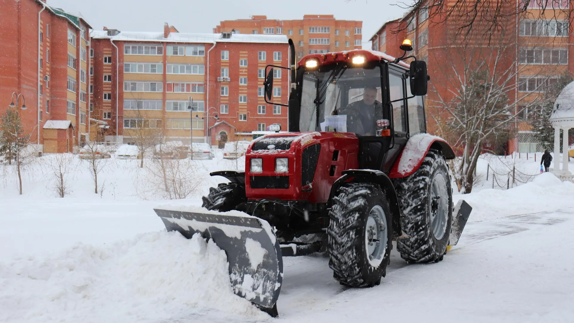 Фото: Дарья Кузнецова