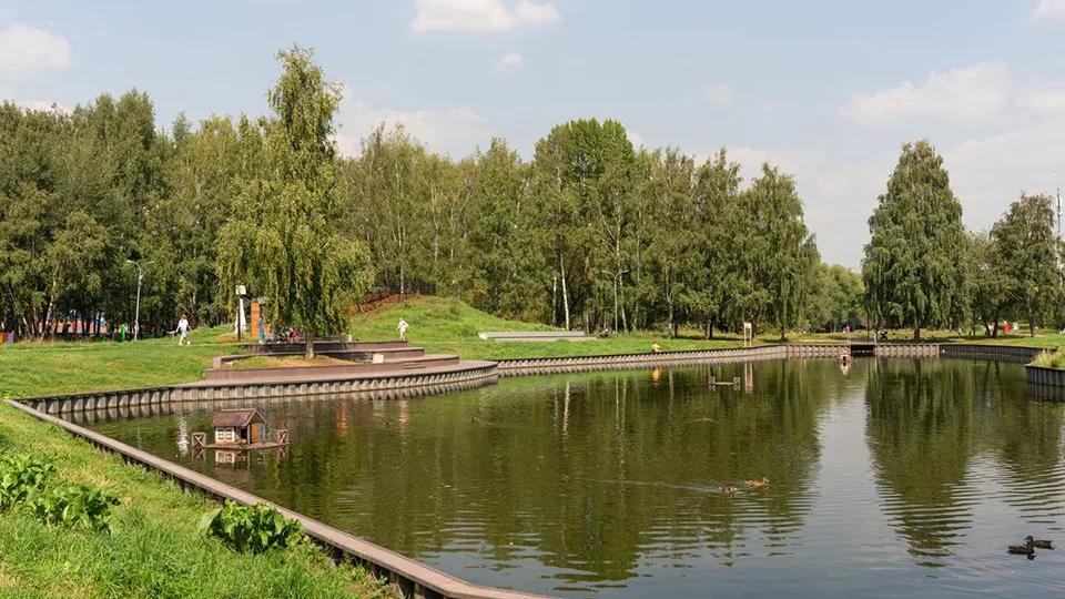 Фото: медиасток.рф