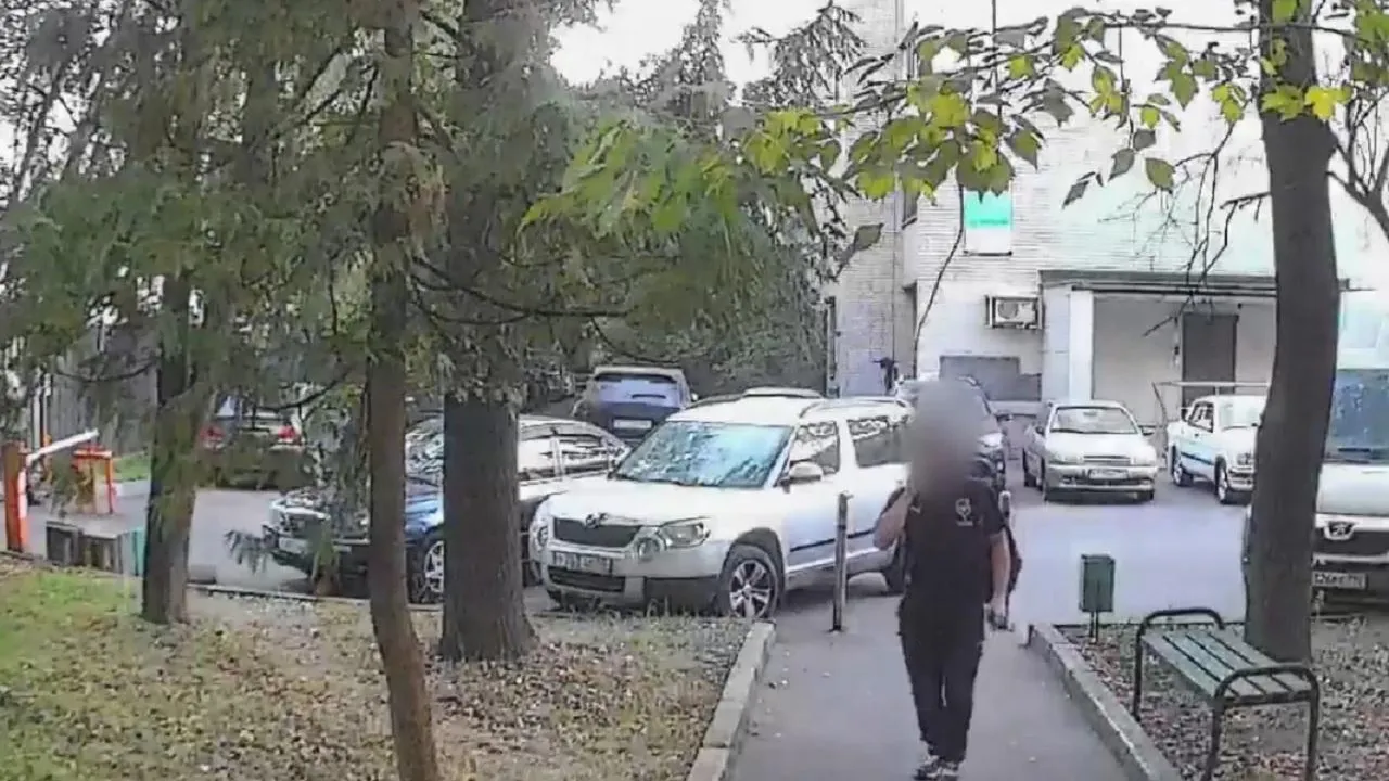 В Подмосковье задержали пособника телефонных мошенников, похитившего деньги у пенсионерок