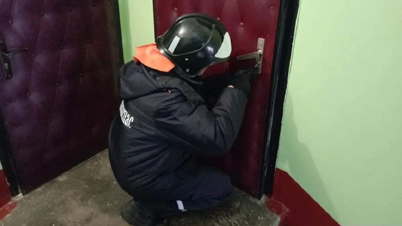 пресс-служба ГКУ МО «Мособлпожспас»
