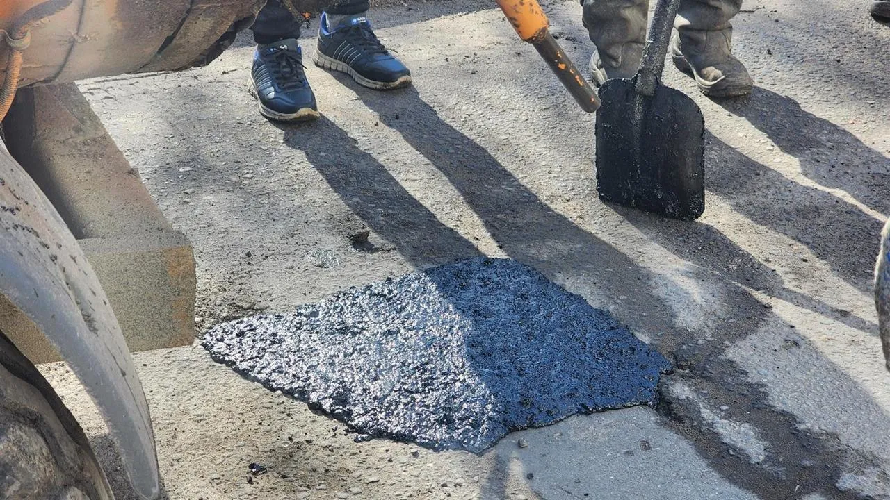 REGIONS/Анна Мороз