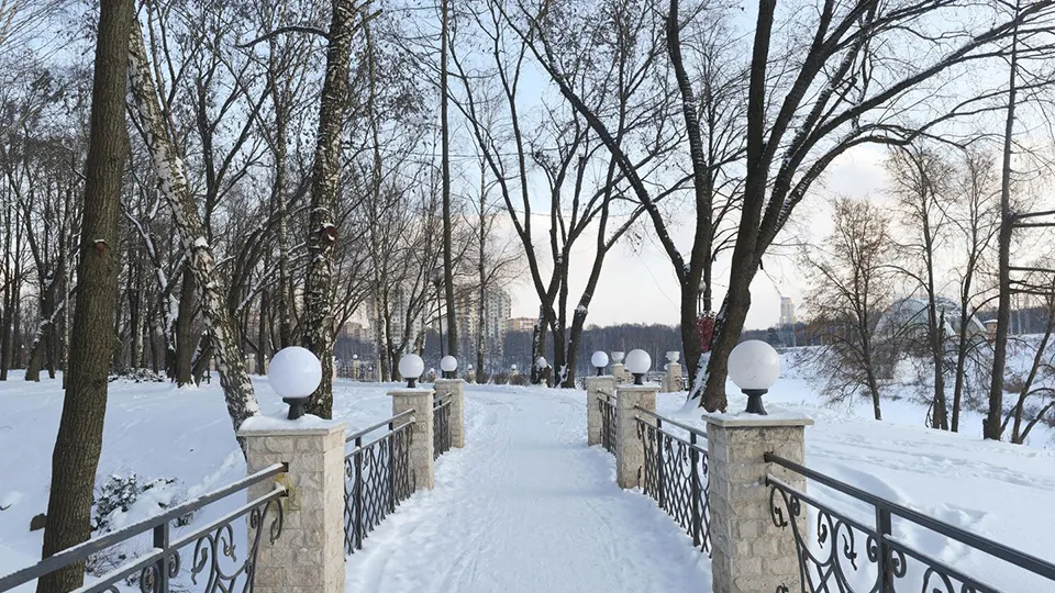 Фото: медиасток.рф