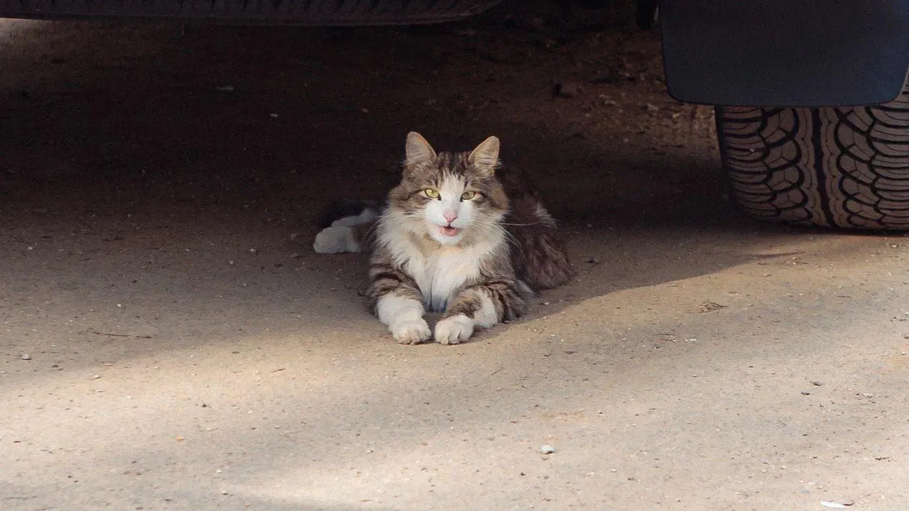 REGIONS/Наталья Надточая