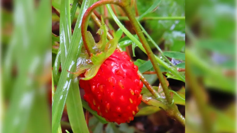 Фото: Андрей Снегерев