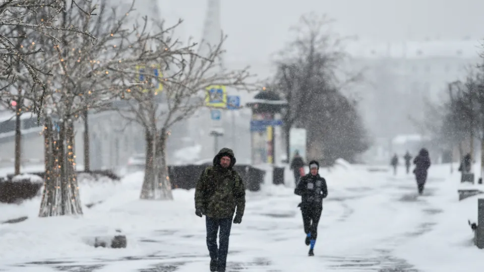 Фото: медиасток.рф