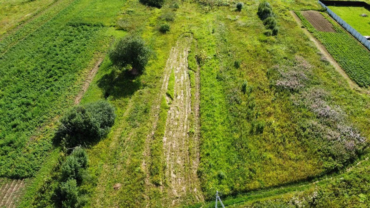 Комитет по конкурентной политике Московской области