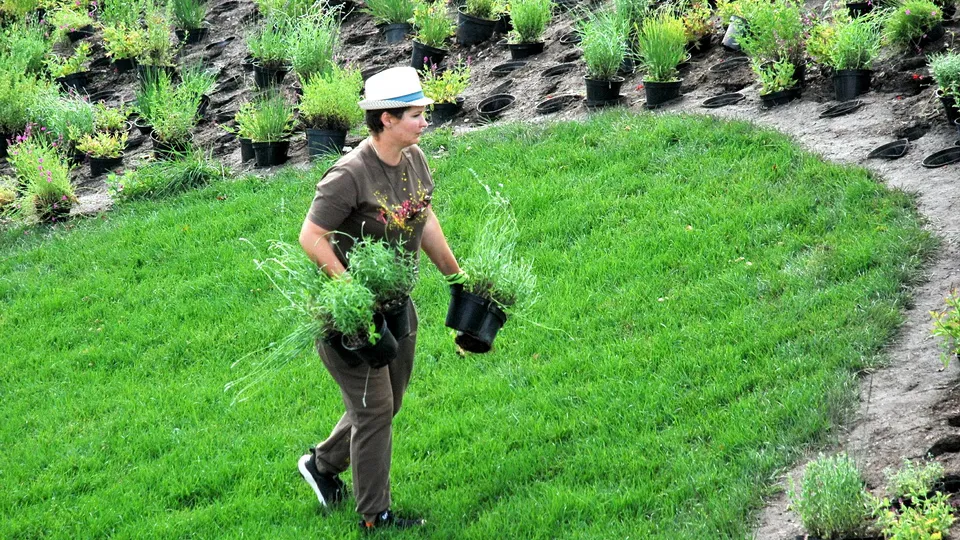 Фото: REGIONS/Александр Легкий