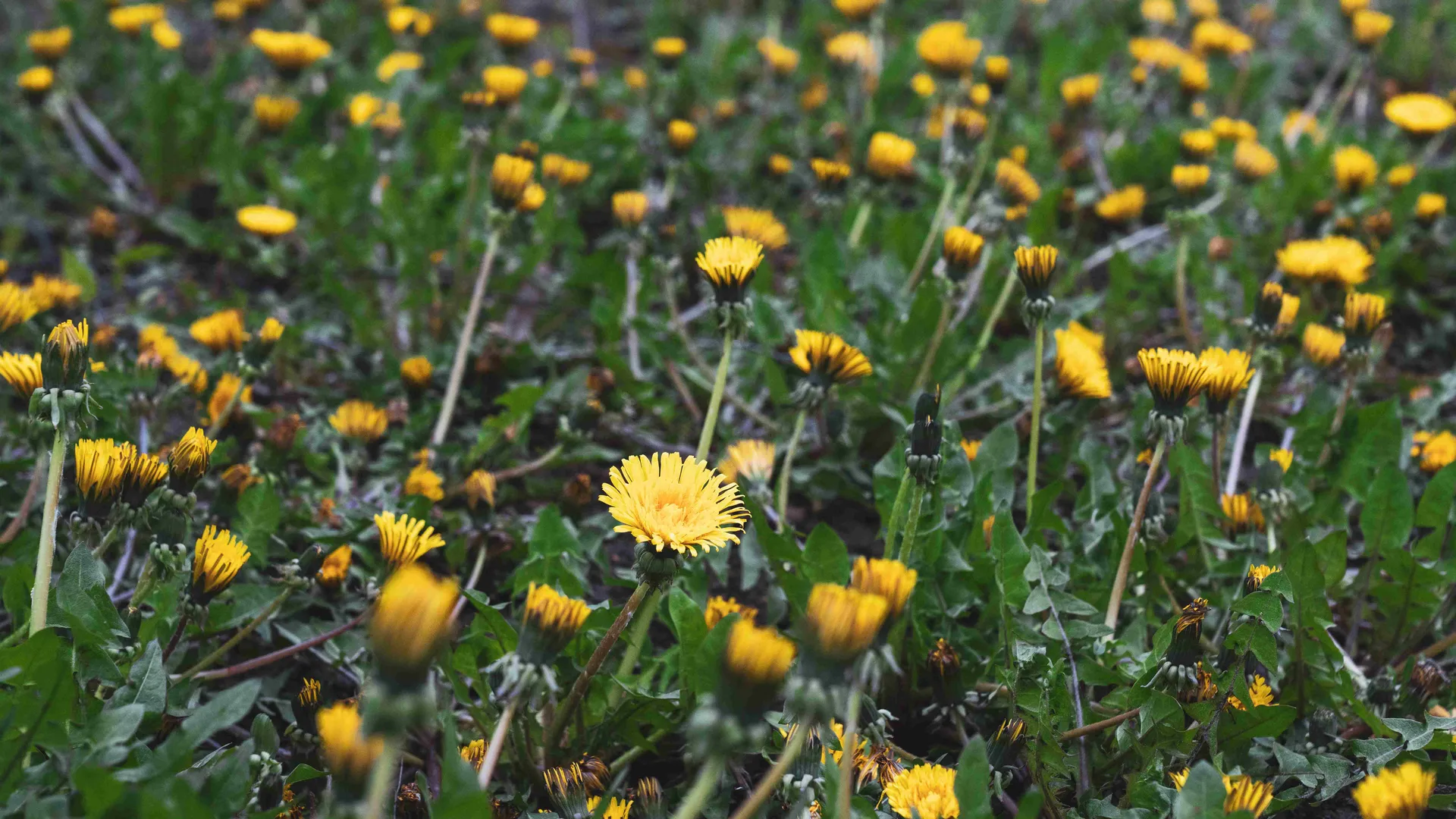 Фото: Надточая Н.