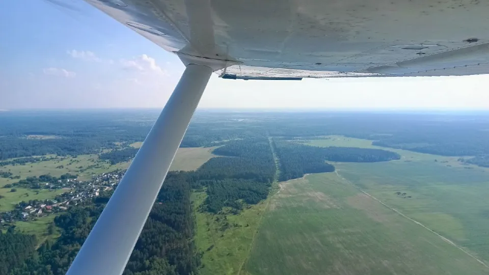 Фото: Комитет лесного хозяйства МО