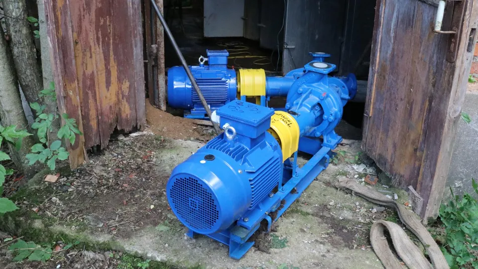 Фото: t.me/alexander_gorbylev_ruza