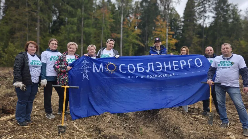 Фото: Мособлэнерго