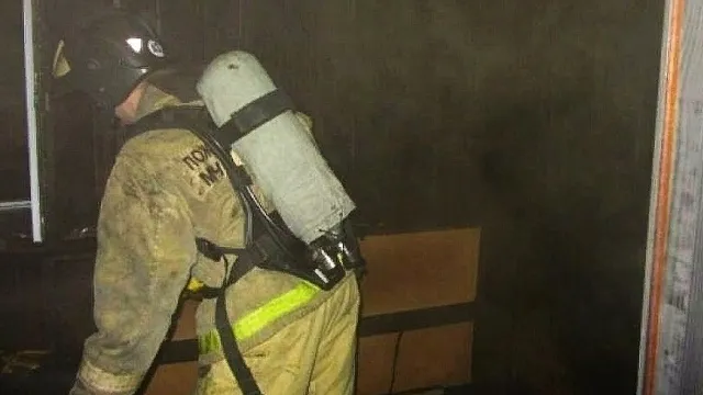 Фото: Главное управление МЧС России по Московской области