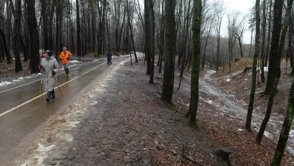 Ученые доказали, что быстро передвигающиеся люди имеют высокий уровень IQ