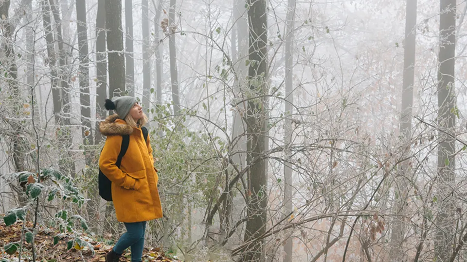 Фото: istockphoto.com/BenAkiba