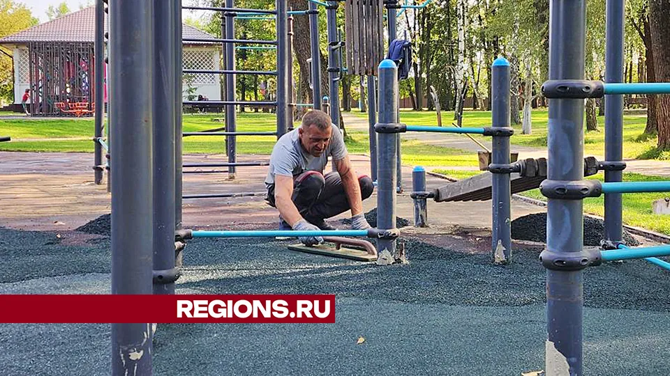 Фото: Андрей Семибратов