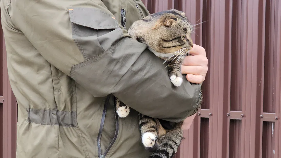 Фото: МедиаБанк Подмосковья/Анна Шолохова