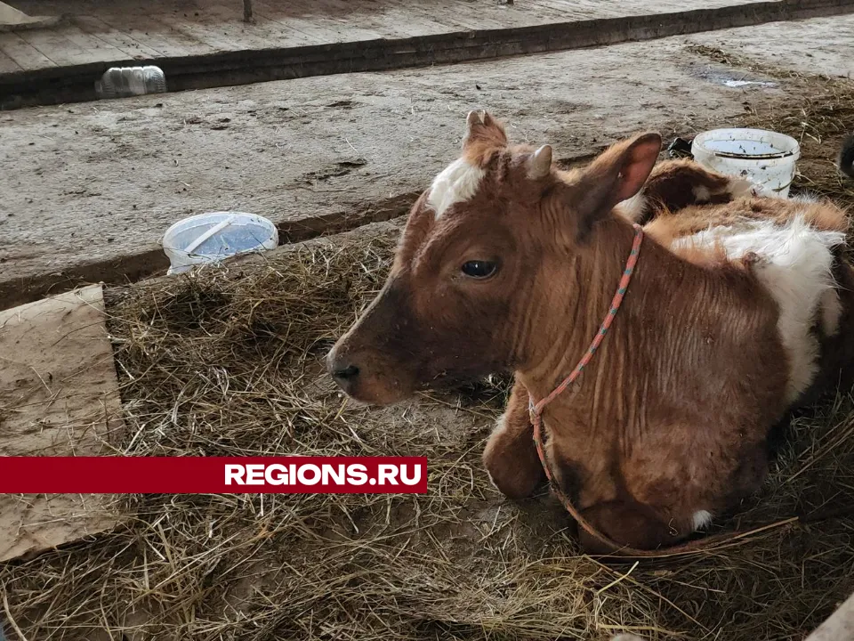 Фото: Екатерина Данилина