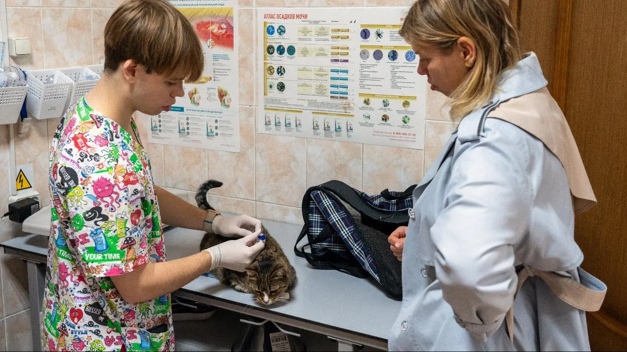 Почти 19 тыс. домашних животных прошли вакцинацию в Подмосковье за месяц