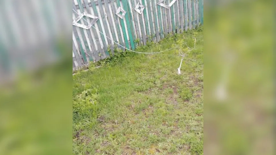 Фото: соцсети