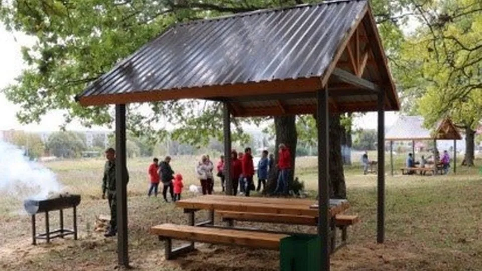 Фото: Комитет лесного хозяйства  Московской области