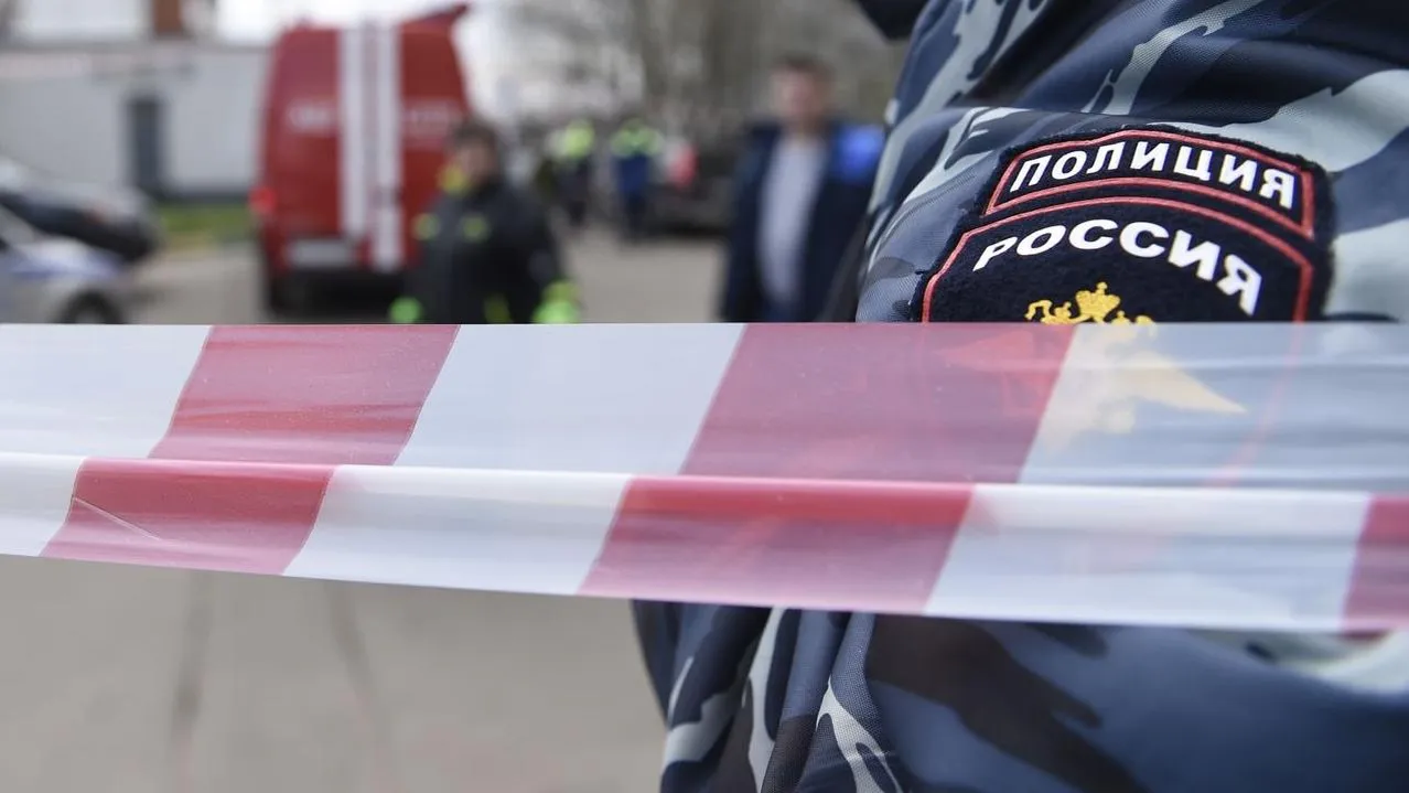 В Новой Москве нашли мину «Лепесток» на стройплощадке