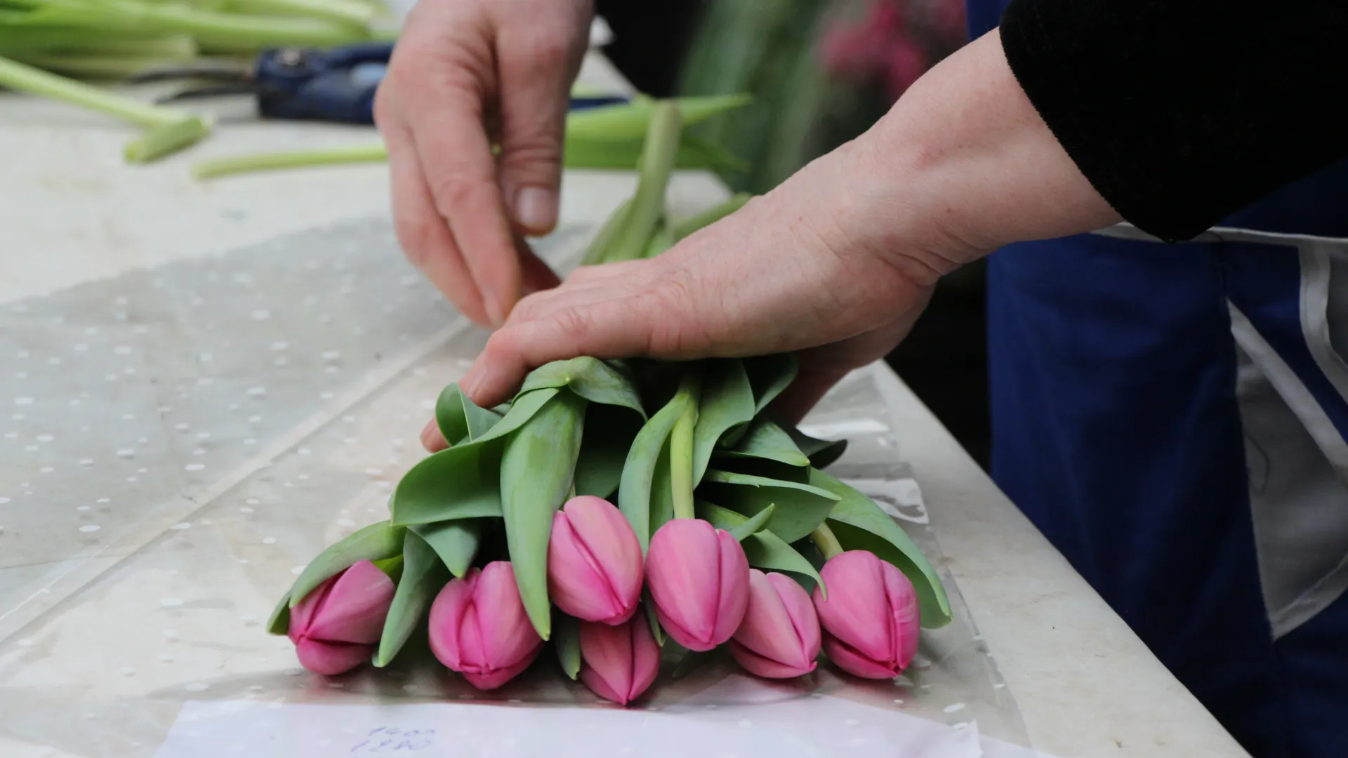 медиасток.рф