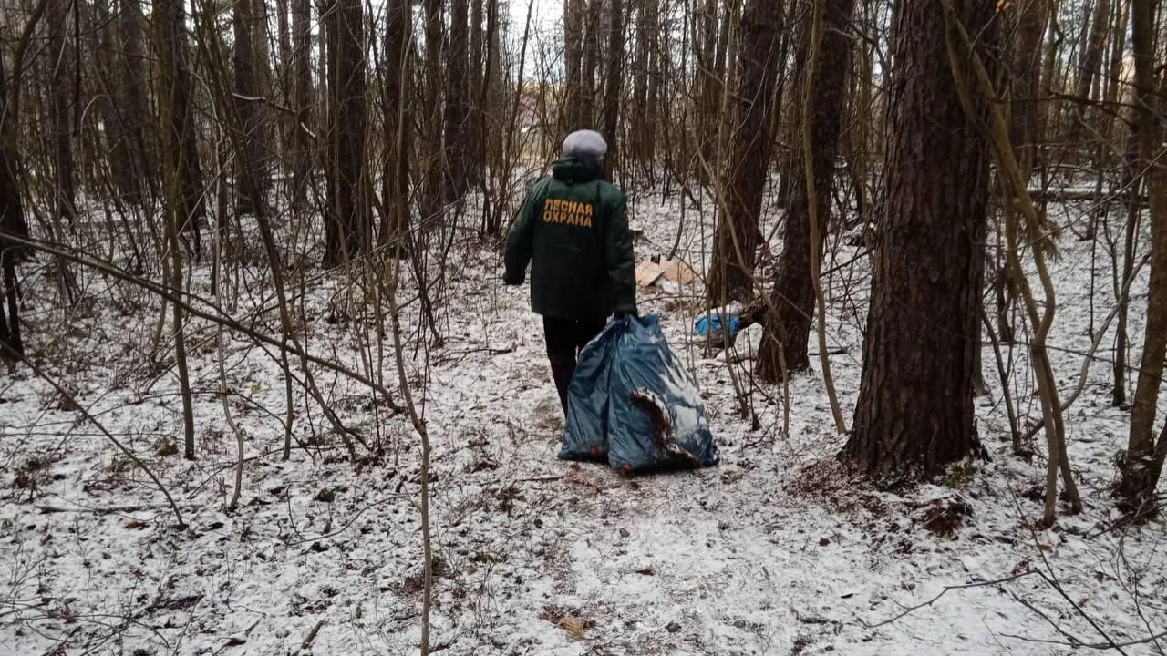 Комитет лесного хозяйства Московской области