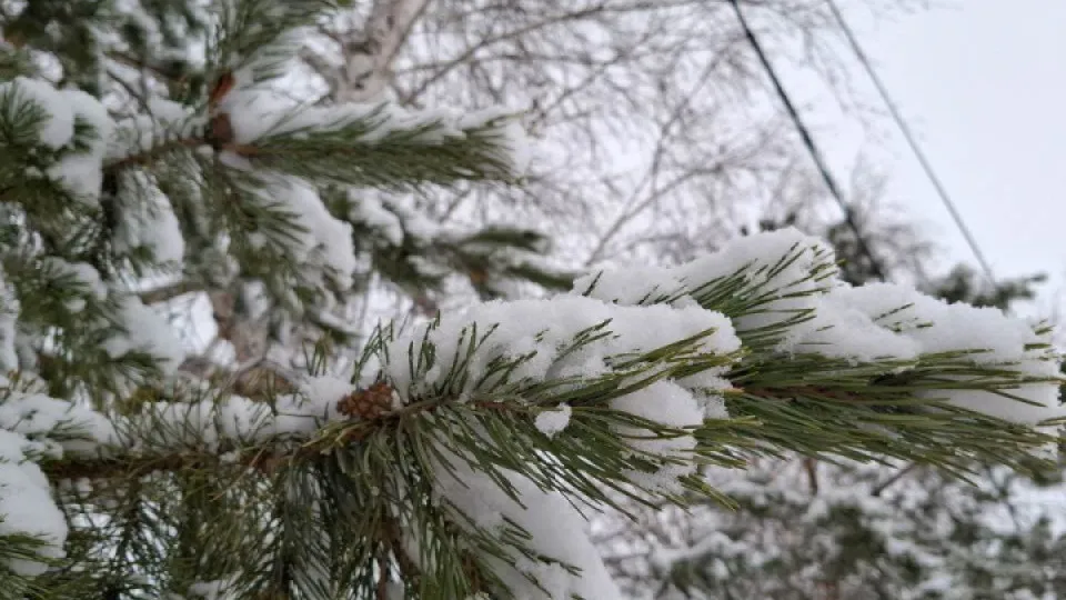 Фото: REGIONS/Юлия Габбасова