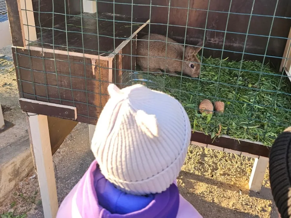 Фото: МБУК  «Городской парк культуры и отдыха»