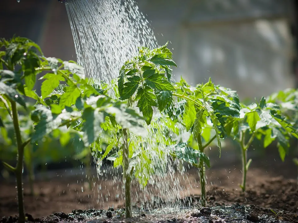 Фото: istockphoto.com