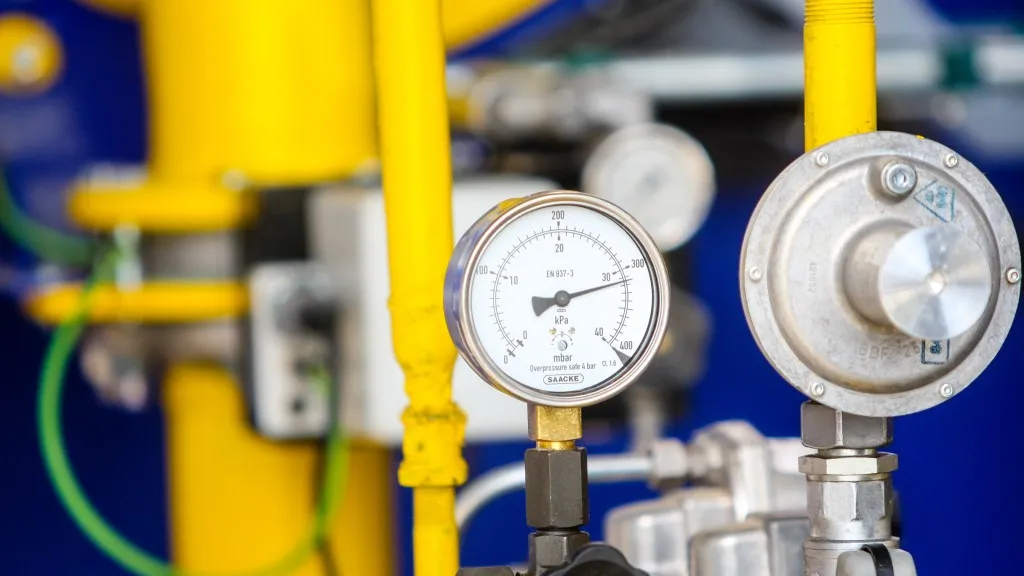 Фото: пресс-служба администрации г.о. Кашира