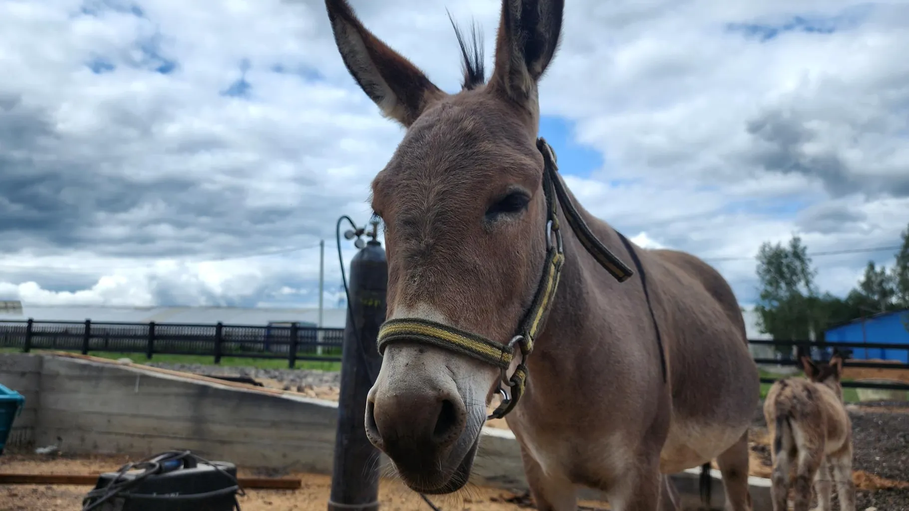 Фото: Анна Тюрюмина