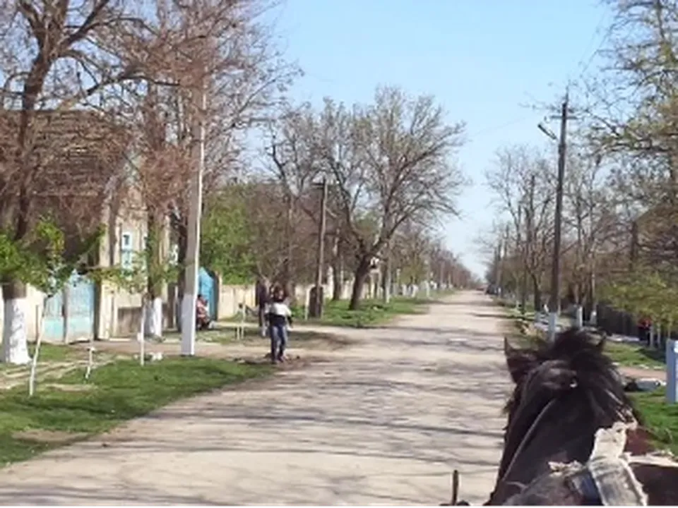 Село&nbsp;Новая Ивановка.&nbsp;Фото: личный архив Елисея Филатова